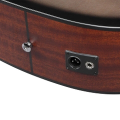 Đàn Guitar Acoustic Ibanez AAD50CE