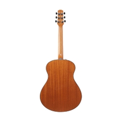 Đàn Guitar Acoustic Ibanez AAM50 Open Pore Natural