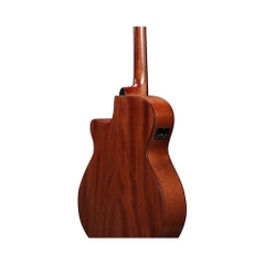 Đàn Guitar Acoustic Ibanez AEG220, Natural Low Gloss