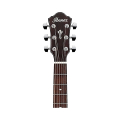 Đàn Guitar Acoustic Ibanez AEG220, Natural Low Gloss