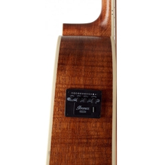 Đàn Guitar Acoustic Ibanez AW417CE Open Pore Semi-Gloss