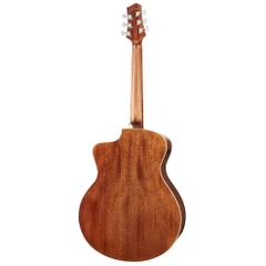 Đàn Guitar Acoustic Ibanez PA230E Natural Satin Top, Natural Low Gloss Back and Sides