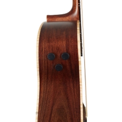 Đàn Guitar Acoustic Ibanez PA300E Natural Satin Top, Natural Low Gloss Back and Sides