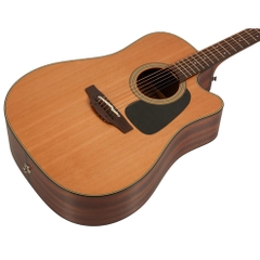 Đàn Guitar Acoustic Takamine P1DC