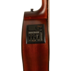Đàn Guitar Acoustic Takamine P1DC