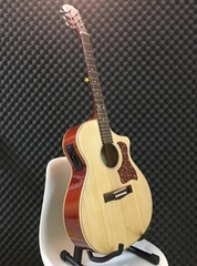 Guitar ép ty EQ7545