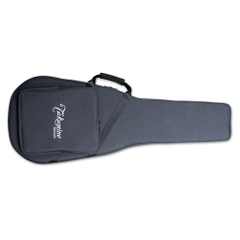 Đàn Guitar Acoustic Takamine P3MC