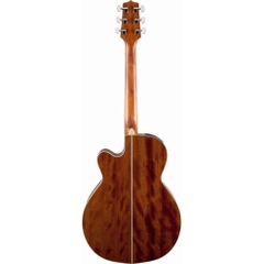 Đàn Guitar Acoustic Takamine GN20CE