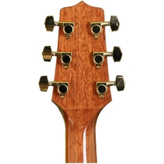 Đàn Guitar Acoustic Takamine GN51 Natural