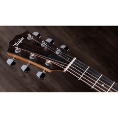 Đàn Guitar Acoustic Taylor 117E - Grand Pacific