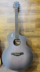 Guitar Rosen G11