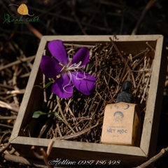[Vietherb] Dưỡng Mặt Đêm Nét Mộc- Net Moc Bedtime Skin Serum