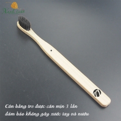 [Pavicico] Bàn Chải Tre, Thân Thiện Môi Trường- Bamboo Toothbrush- Eco Friendly [Xanh Suốt]