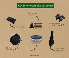 [KOI Binchotan] Bột Than Hoạt Tính- Charcoal Powder [Xanh Suốt]
