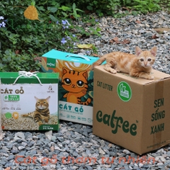 [Catfee] Cát Vệ Sinh- Cát Gỗ Tự Nhiên - Natural Wooden Cat Litter [Xanh Suốt]