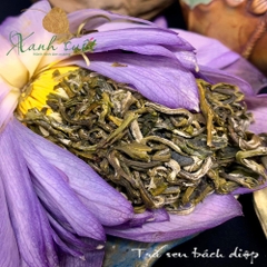 [Dã Vị] Trà Sen Tươi Hồ Tây- Frozen Lotus Green Tea  [Xanh Suốt]