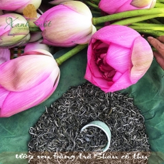 [Dã Vị] Trà Sen Tươi Hồ Tây- Frozen Lotus Green Tea  [Xanh Suốt]