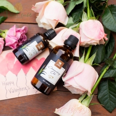 [Biolak] Dầu Tẩy Trang Lá Nếp - Biolak Cleansing Oil [Xanh Suốt]