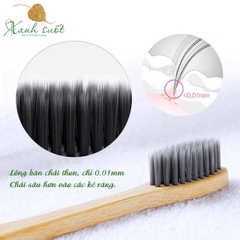 [Pavicico] Bàn Chải Tre, Thân Thiện Môi Trường- Bamboo Toothbrush- Eco Friendly [Xanh Suốt]