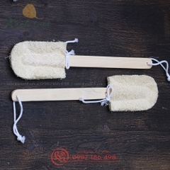 [Vi Lâm] Cây Cọ Rửa Ly Cốc Bằng Xơ Mướp 2 Lá (Thay Được)- Loofah Kitchen Cleaning Brush With Wooden [Xanh Suốt]