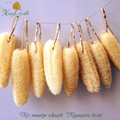 [Vi Lâm] Xơ mướp Nguyên trái- Mướp chuột