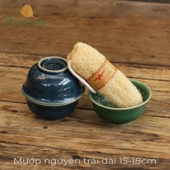 [Vi Lâm] Xơ mướp Nguyên trái- Mướp chuột- Whole Loofah [Xanh Suốt]
