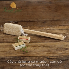 [Vi Lâm] Cây Chà Lưng Xơ Mướp - Loofah Back Brush [Xanh Suốt]