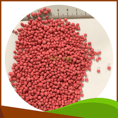 Bộ NPK bón gốc