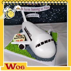 Bánh kem máy bay W06 màu trắng cửa sổ đen đang ở trên đường băng xám cỏ xanh