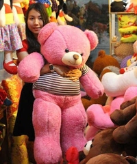 GB2 Gấu Teddy hồng