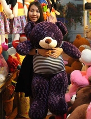 GB3 Gấu Teddy màu tím