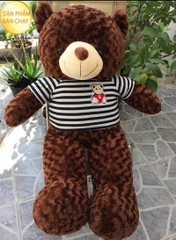 GB7 Gấu Teddy