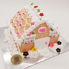 GS17 - ngôi nhà tuyết trắng 2