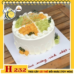 Bánh kem sinh nhật H232 trái cây nhiệt đới đẹp mắt và thanh mát