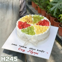 Bánh kem sinh nhật H245 trái cây chia ô sang chảnh