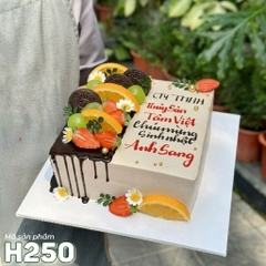 Bánh kem sinh nhật H250 nửa choco nửa trái cây độc đáo