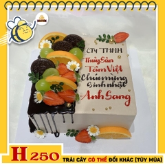 Bánh kem sinh nhật H250 nửa choco nửa trái cây độc đáo