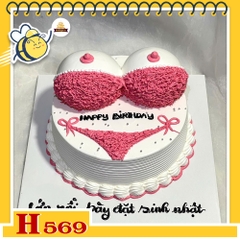 Bánh kem sinh nhật H569 hình bikini hồng sexy cá tính