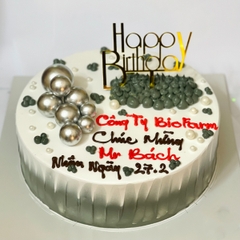 BS08 bánh kem sang trọng mừng ngày thầy thuốc Việt Nam 27 tháng 2