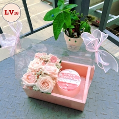 [Chỉ ship HCM] Set hoa bánh kem LV18