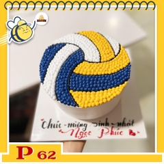 Bánh kem P62 hình quả bóng chuyền màu trắng xanh vàng giống như thật