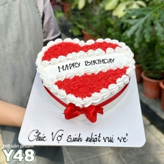 Bánh sinh nhật mẫu mới Y48