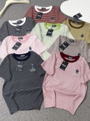 Áo thun sọc thêu gấu - Form vừa