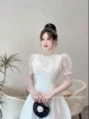 Đầm tafta phối ren ngực