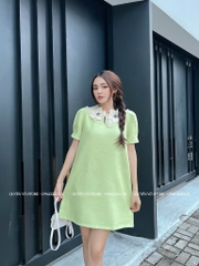 Đầm suông cổ bèo trắng đính hoa - M