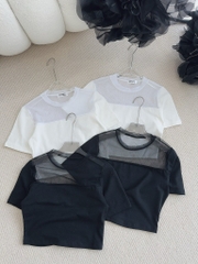 Áo thun croptop lưới - Freesize