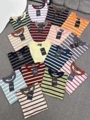 Áo thun sọc trơn - Form vừa