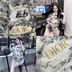 Áo thun Dior