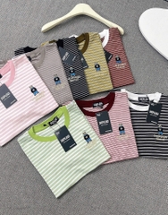 Áo thun sọc thêu gấu - Form vừa