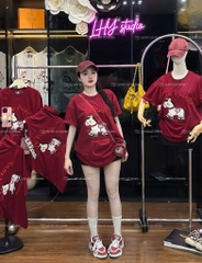 Áo thun ngựa cute - Form rộng dưới 65kg